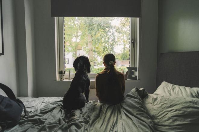 安全套没人买了情趣用品却卖爆了冰球突破豪华版一生含蓄的中国人(图6)